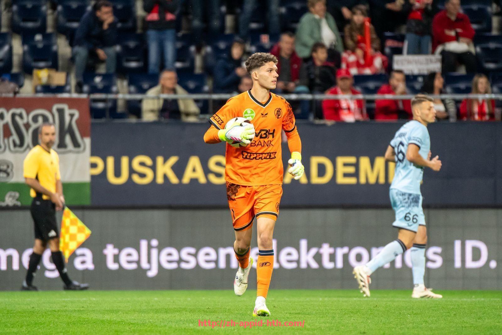 HTH华体会APP下载-西甲联赛有20支球队吗:西甲球队数量常态解读 .