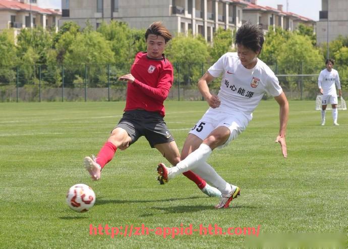 HTH华体会APP下载-法甲赛季最有争议的裁判判罚：争议判罚与影响解析