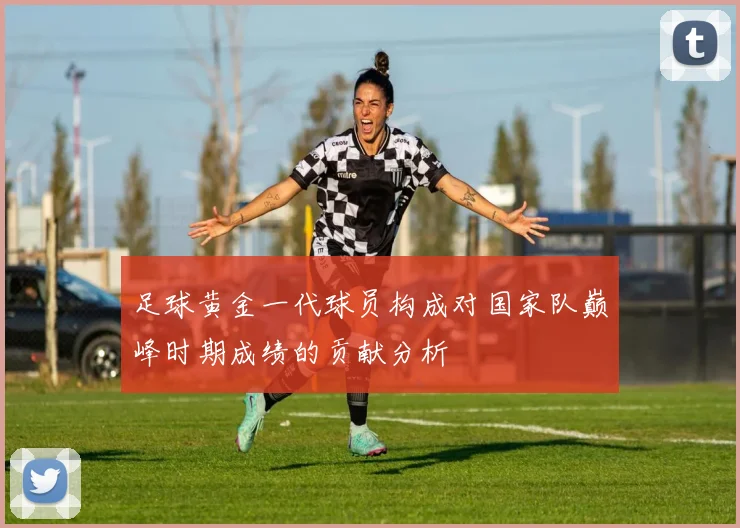 足球黄金一代球员构成对国家队巅峰时期成绩的贡献分析