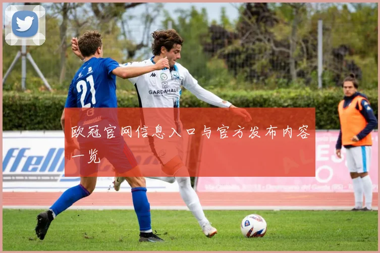 欧冠官网信息入口与官方发布内容一览