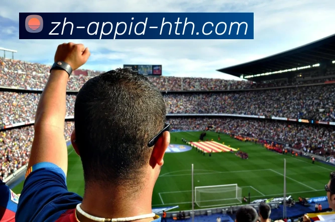 华体会hth服务体系